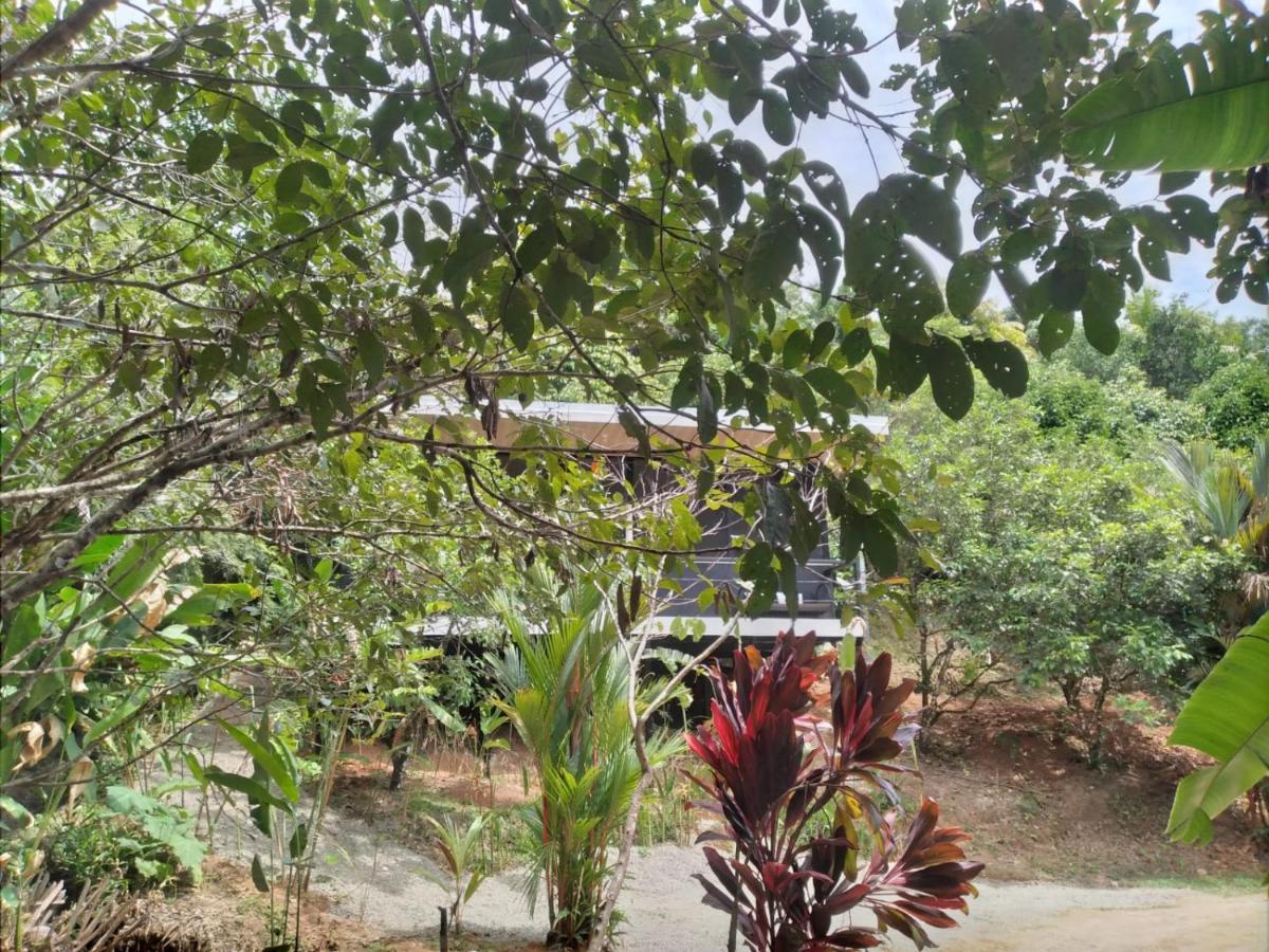 Cabinas Fave Uvita Ngoại thất bức ảnh