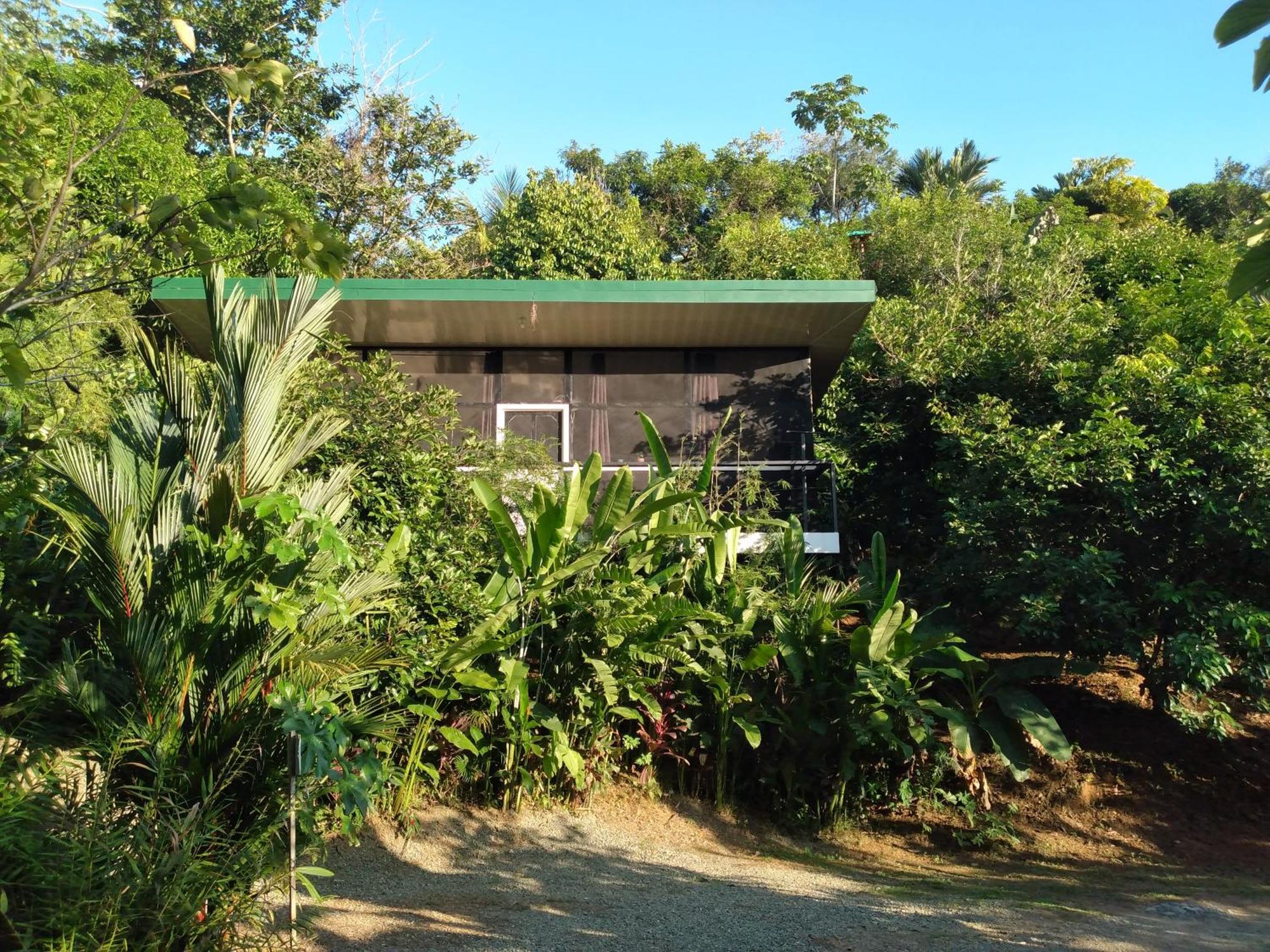 Cabinas Fave Uvita Ngoại thất bức ảnh