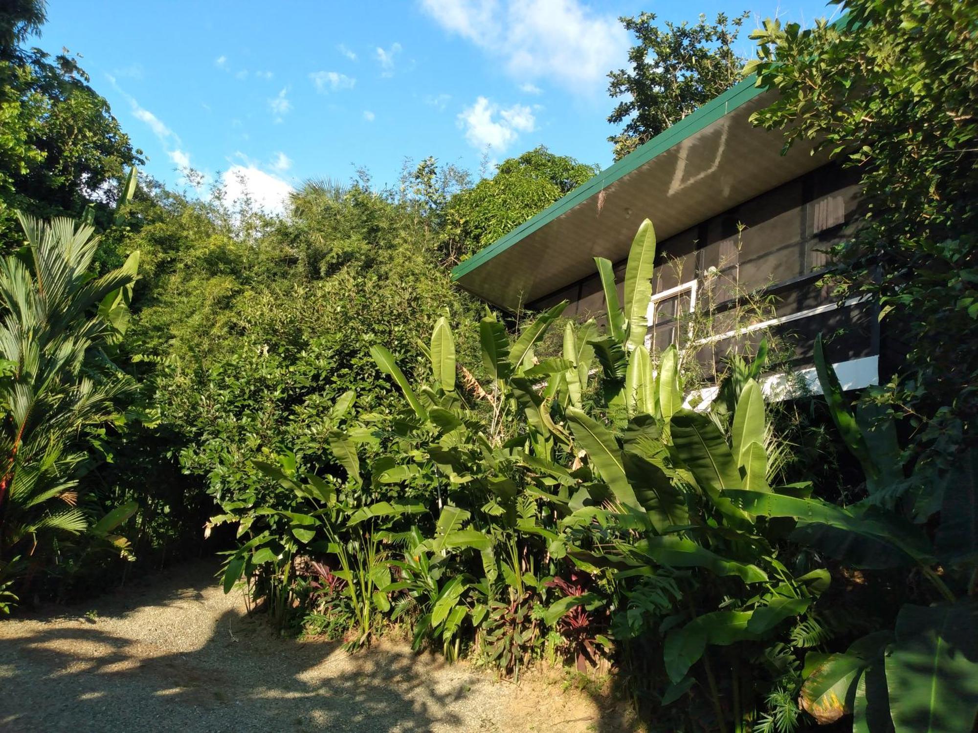 Cabinas Fave Uvita Ngoại thất bức ảnh