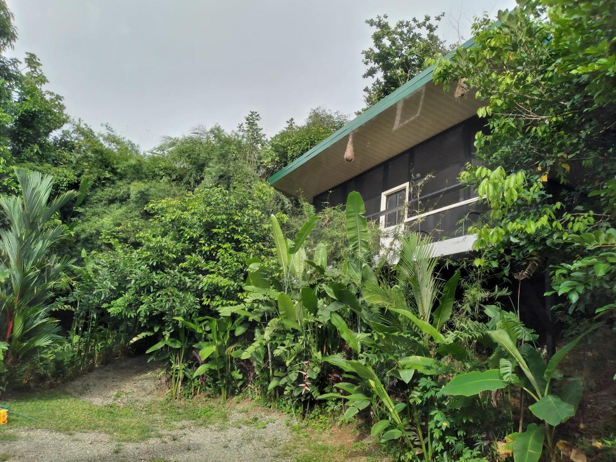 Cabinas Fave Uvita Ngoại thất bức ảnh