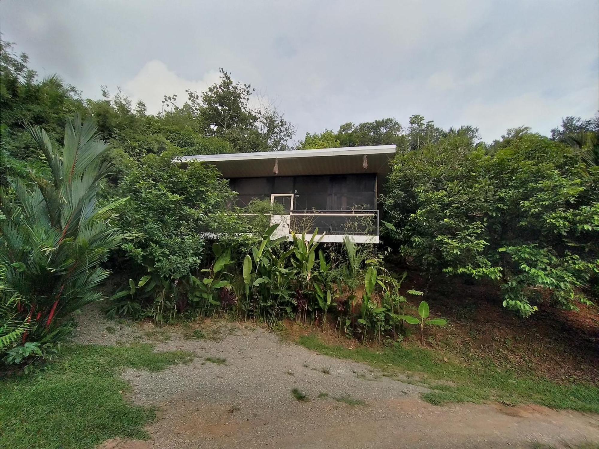 Cabinas Fave Uvita Phòng bức ảnh