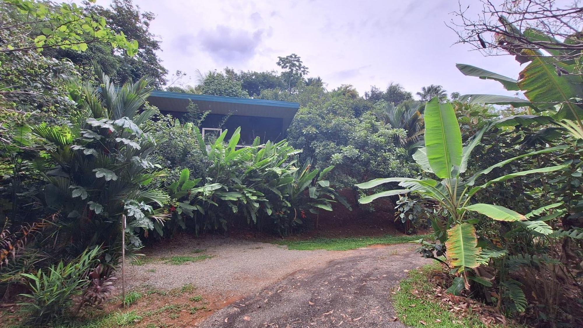 Cabinas Fave Uvita Ngoại thất bức ảnh